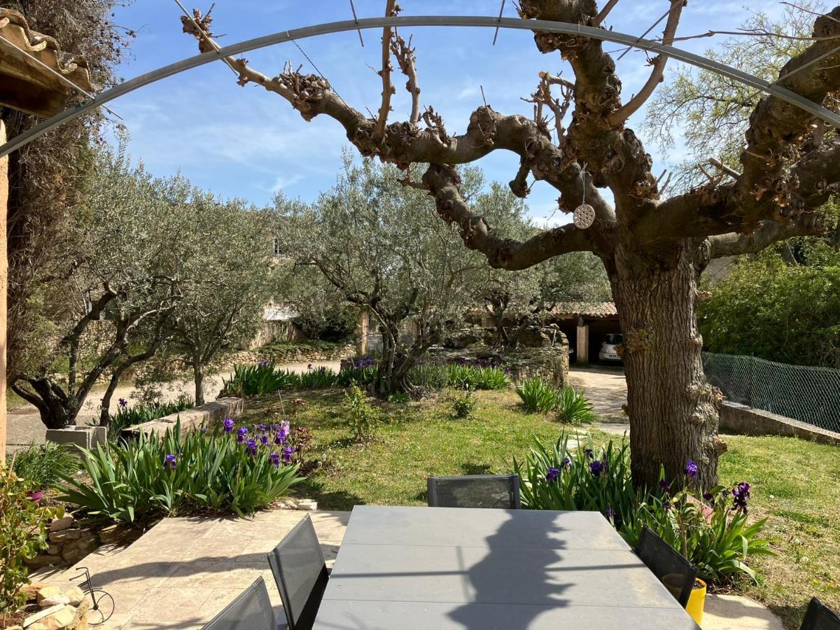 Chambre Avec Petit-Dejeuner En Provence Luberon La Tour-d'Aigues Exterior photo